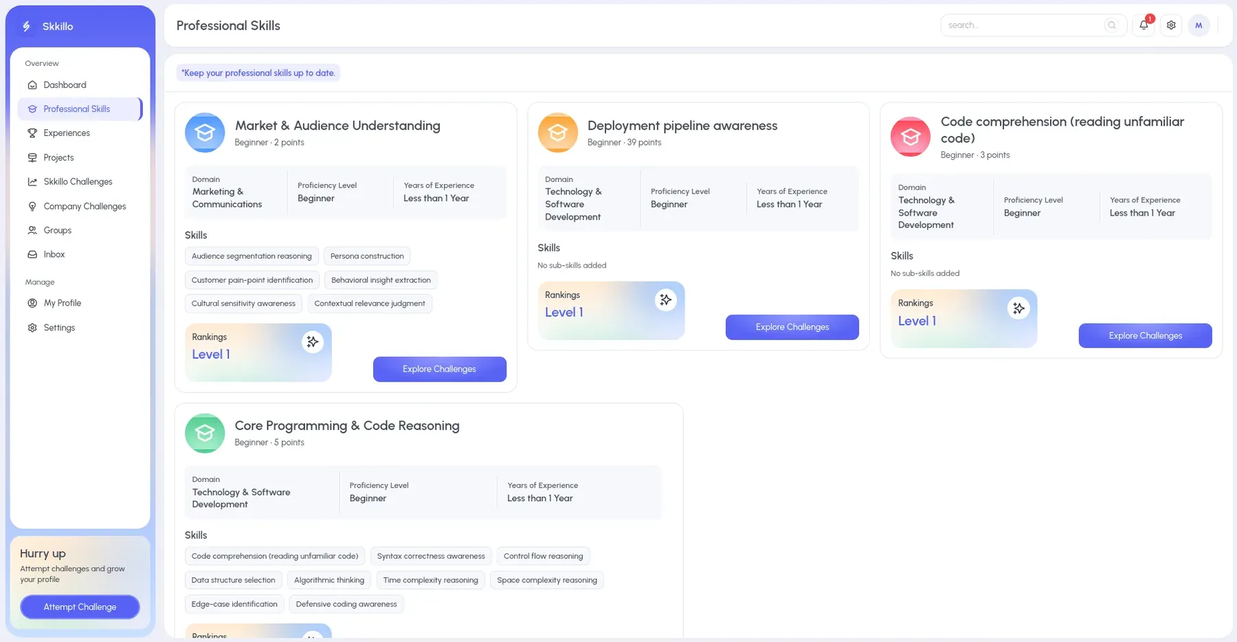 Skkillo candidate skills dashboard
